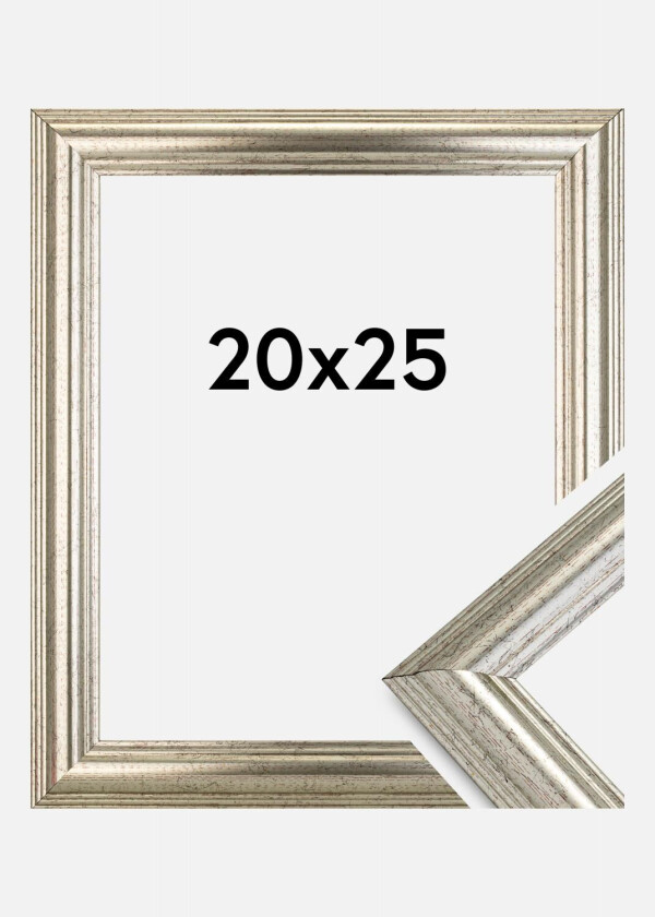 Ramme Västkusten Sølv 20x25 Cm