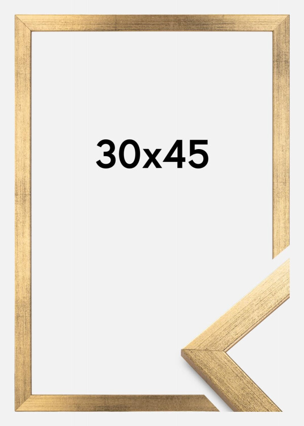 Ramme Stilren Akrylglass Gull 30x45 Cm