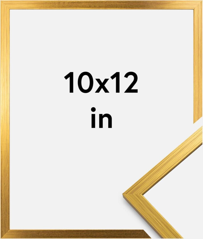 Ramme Edsbyn Gull 10x12 Inches (25,4x30,48 Cm)