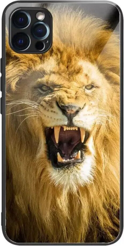 iPhone 14 Pro Deksel m. Glassbakside - Løve