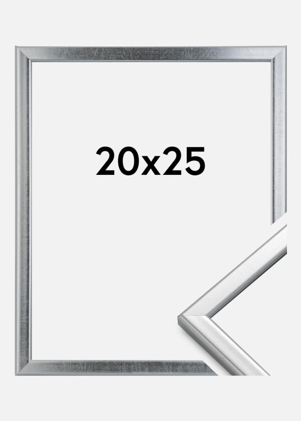 Ramme Slim Matt Antirefleksglass Sølv 20x25 Cm