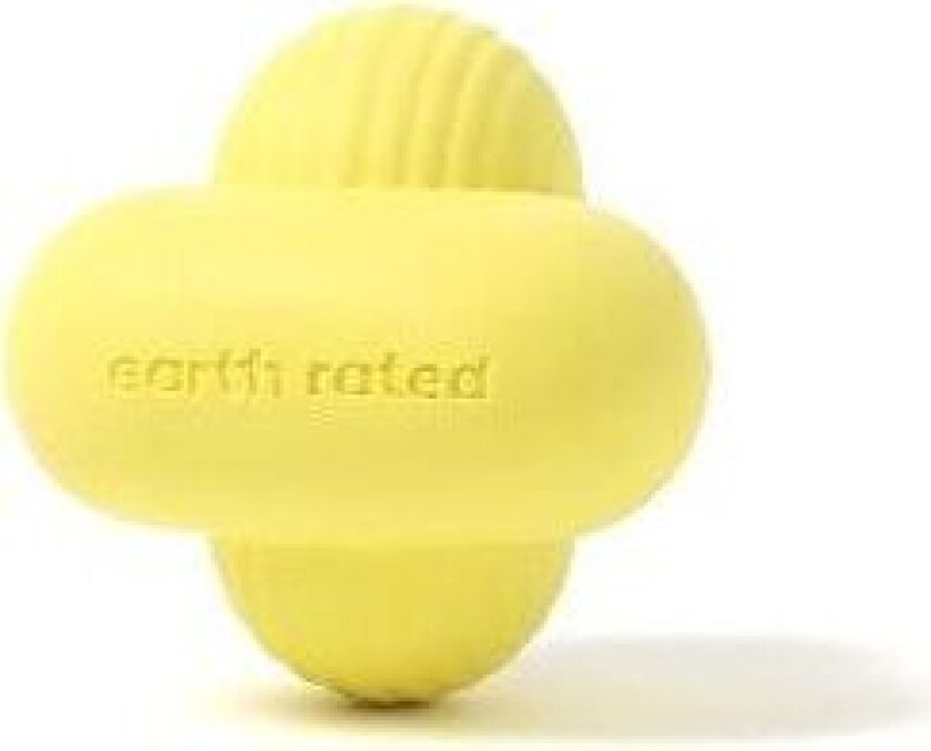 Fetch Dog Toy - Yellow (S)