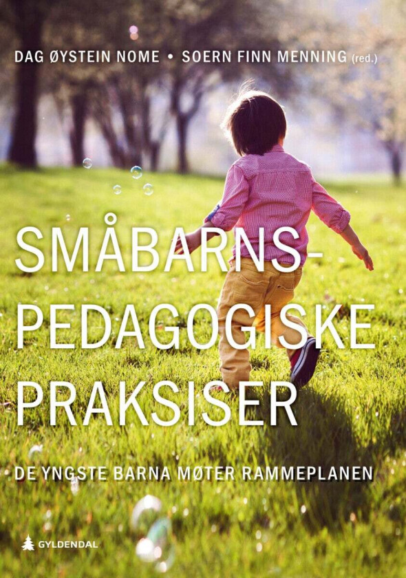 Småbarnspedagogiske praksiser av Soern Finn Menning, Dag Øystein Nome