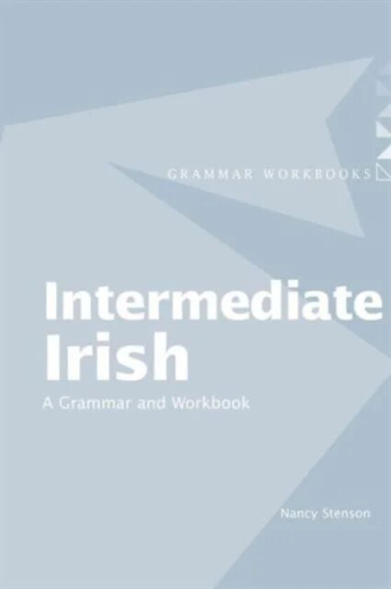 Intermediate Irish: A Grammar and Workbook av Nancy Stenson