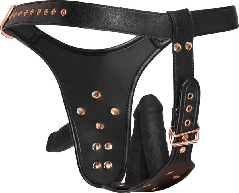 Bad Kitty: Dildo Briefs, S/M