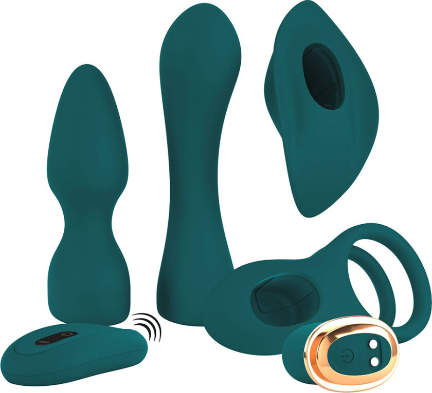 Couples Choice: RC Mini Vibrator with 4 Attachments