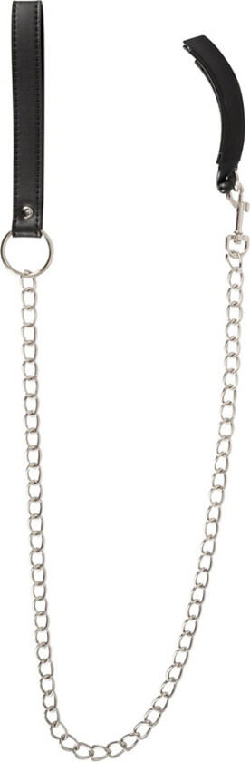 Bad Kitty: Vagina Clamp with a Leash