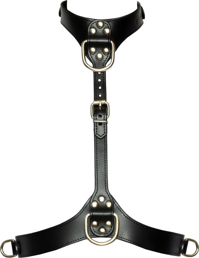 Bad Kitty: Chest Harness