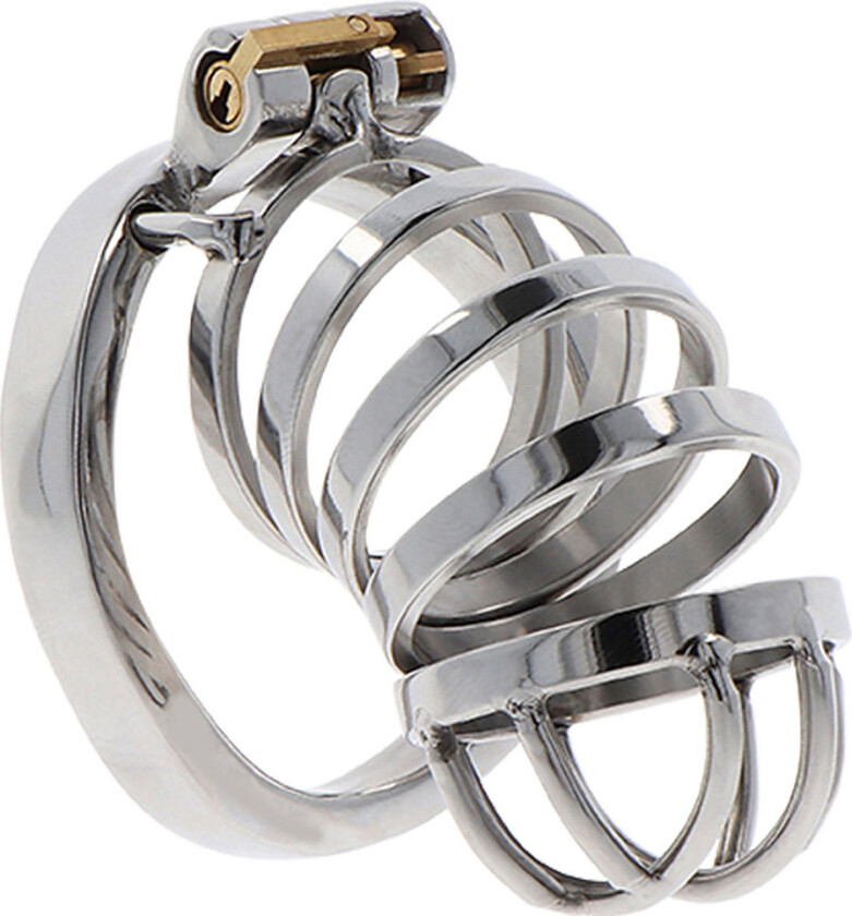 Hidden Desire: Extreme Chastity Metal Cock Cage
