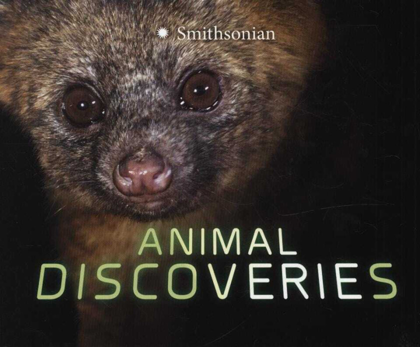 Animal Discoveries