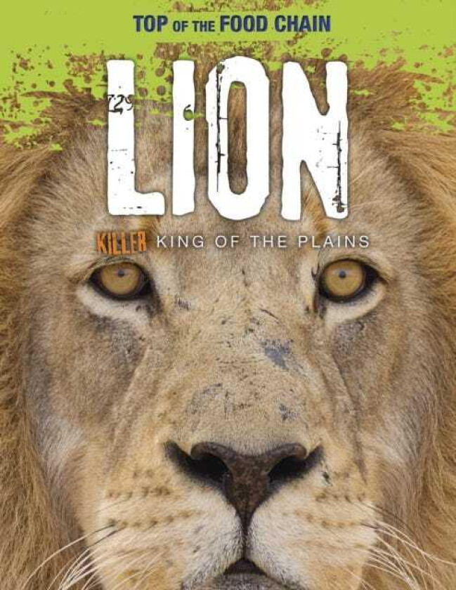 Lion  Killer King of the Plains