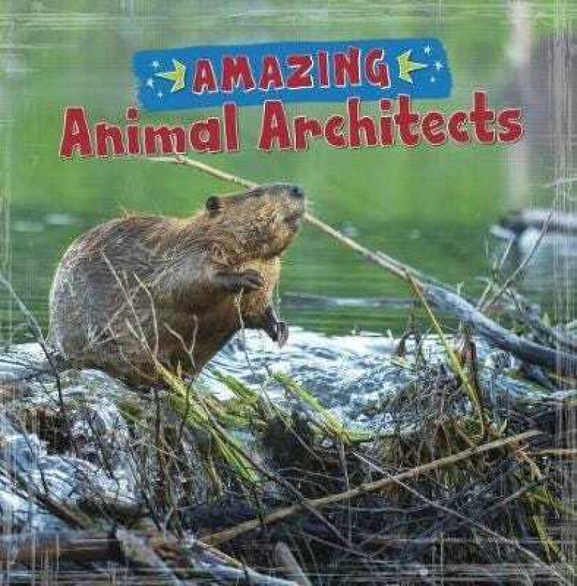 Amazing Animal Architects