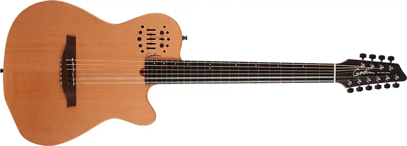 A10 Natural SG Inkl. Gig Bag