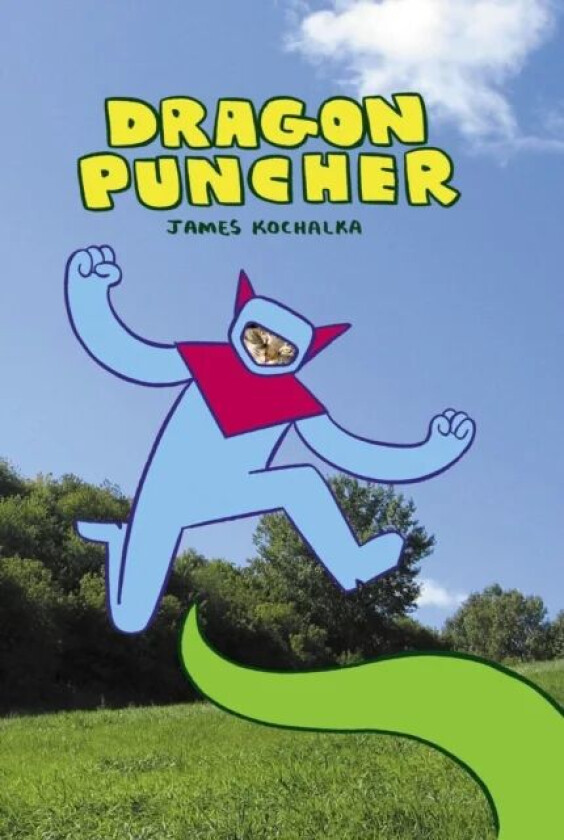 Dragon Puncher Book 1 av James Kochalka