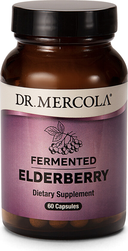Fermented Elderberry