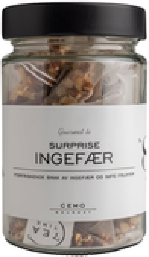 TE INGEFÆR SURPRISE 328ML GLASS 28G