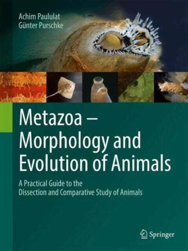Metazoa – Morphology and Evolution of Animals A Practical Guide to the Dissection and Comparative Study of Animals