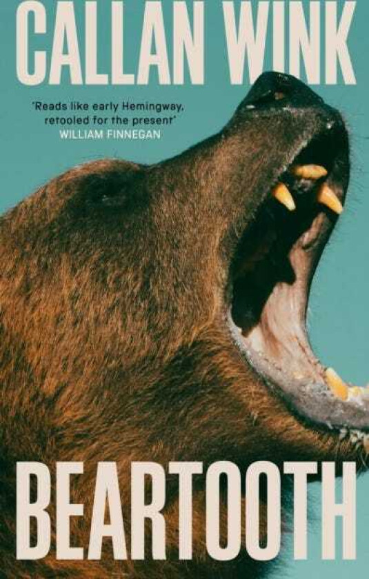 Beartooth