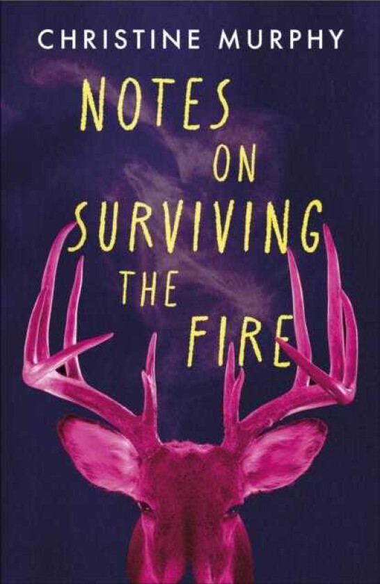 Notes on Surviving the Fire A razorsharp, darkly funny literary novel about male violence, a woman's vengeance, and whether killing can ever be justified