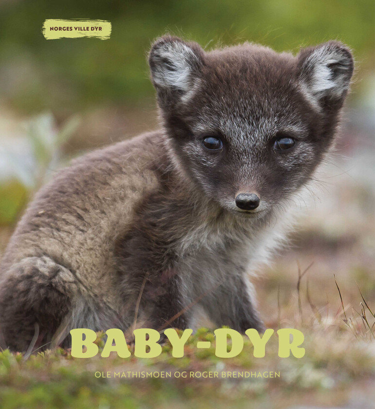 Babydyr Norges ville dyr