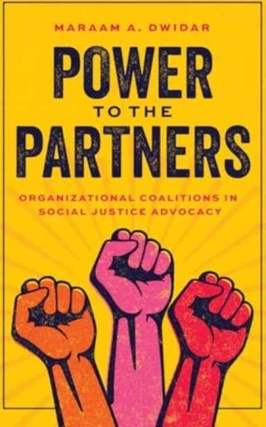 Power to the Partners  Organizational Coalitions in Social Justice Advocacy