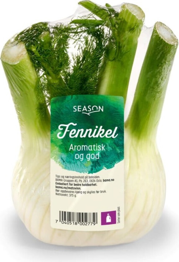Fennikel Season