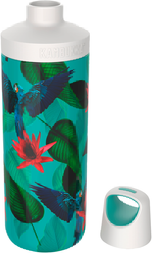 DRIKKEFLASKE RENO ISOLERT PAPEGØYE 500ML