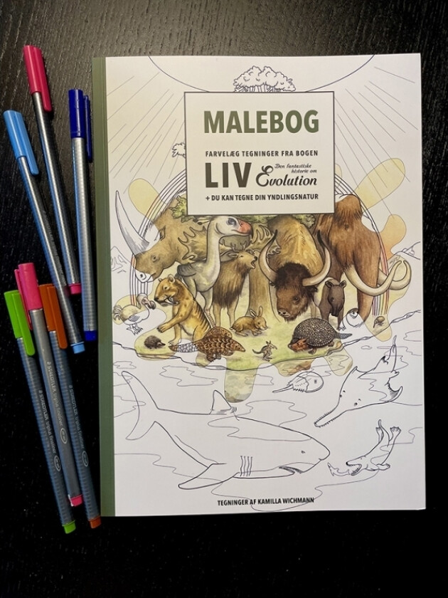 Malebog | Kamilla Wichmann