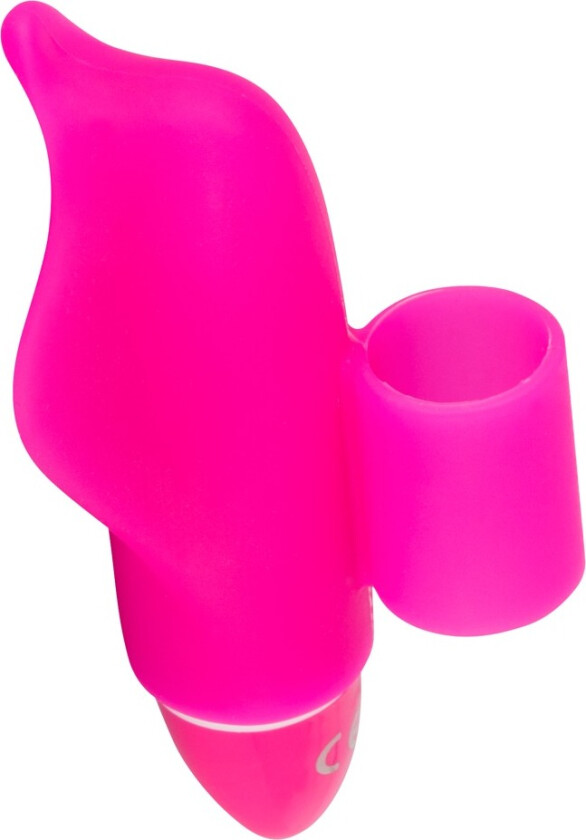 Little Dolphin Klitorisvibrator