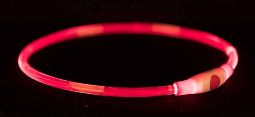 Flash Skinnende Hundehalsbånd Rød (40 cm)