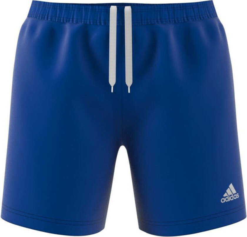 Entrad 22 Shorts Low Waist