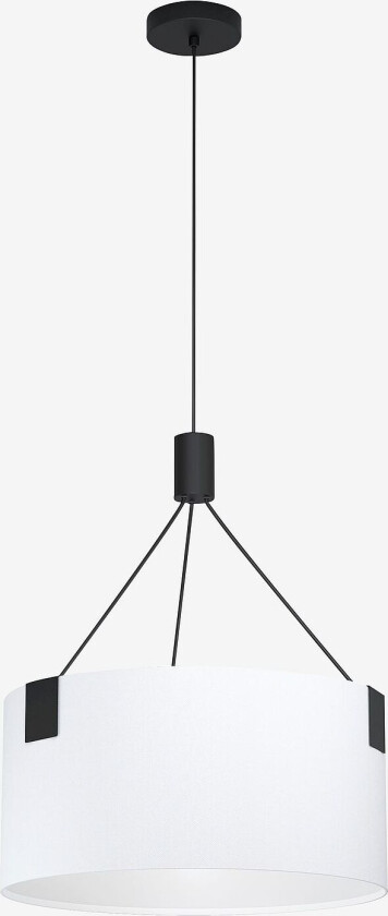 Pendel Tortola, Hvit