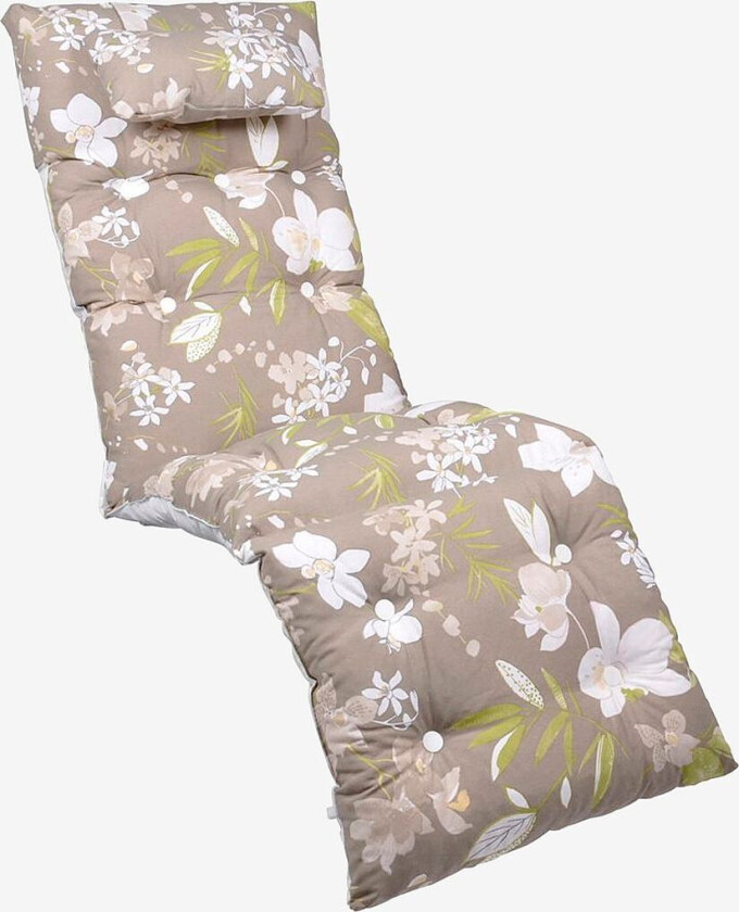 Pute Baden Baden Flock, Nakkepute, Beige