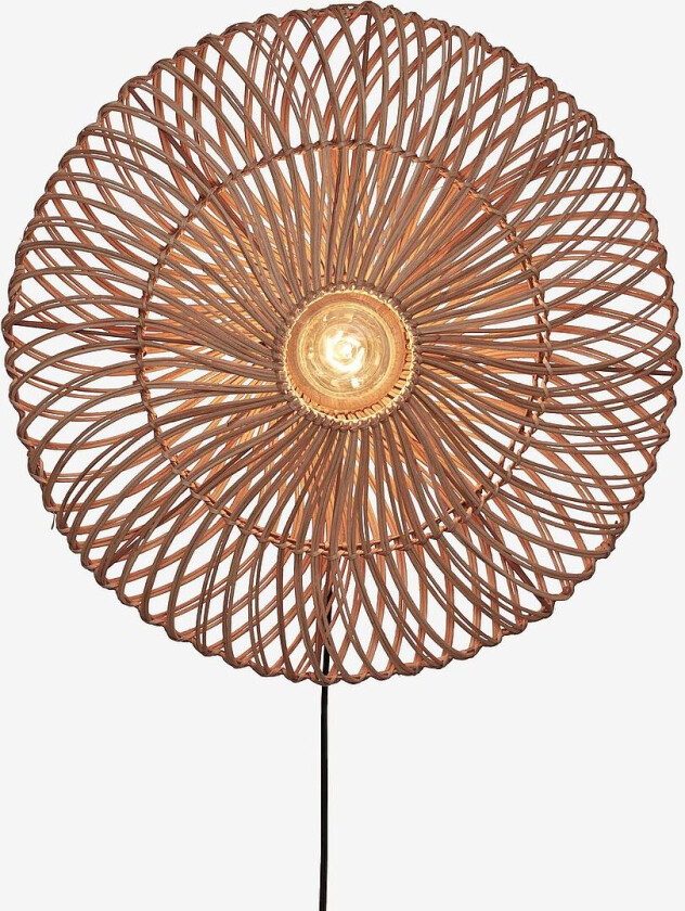 Veggplafond stor Zanzibar, Natur