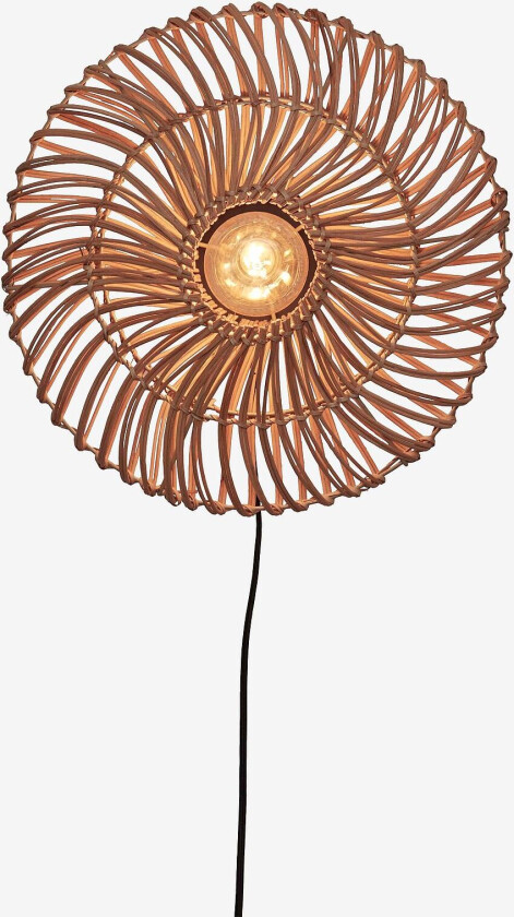 Veggplafond liten Zanzibar, Natur