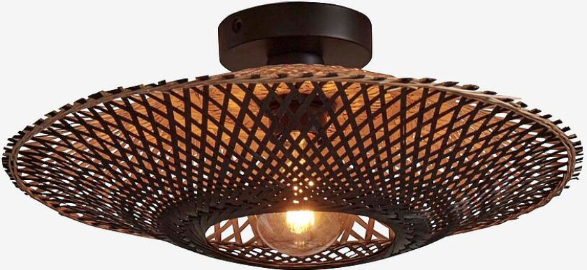 Taklampe omvendt Kalimantan, Flerfarget