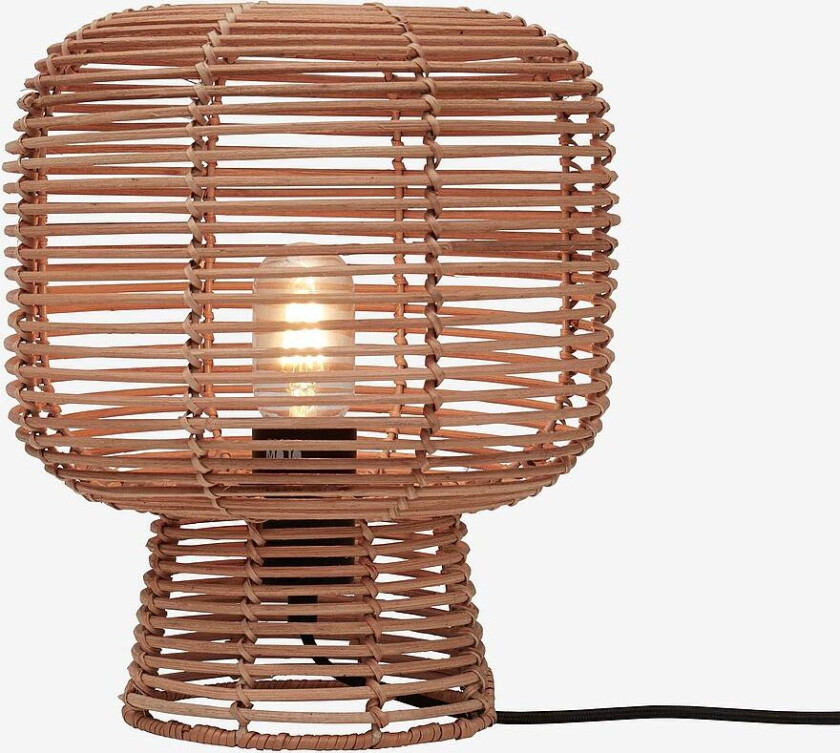 Bordlampe Tanami, Natur