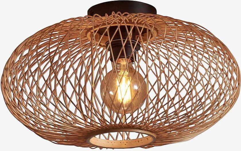 Taklampe Cango, Natur