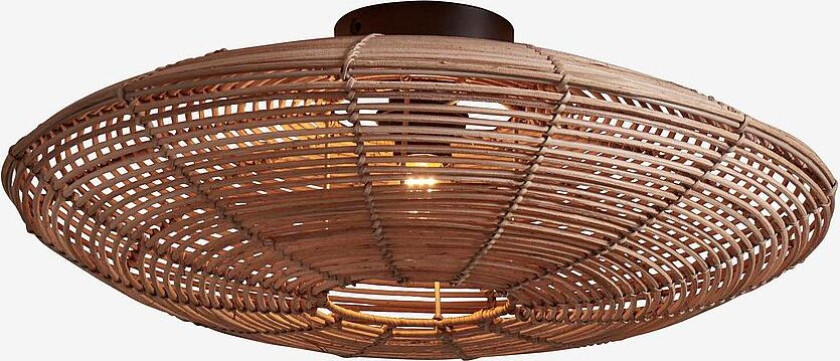 Takplafond stor Tanami, Natur