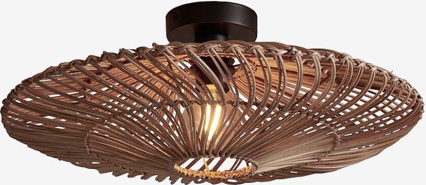 Takplafond stor Zanzibar, Natur