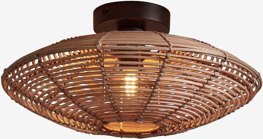 Takplafond liten Tanami, Natur