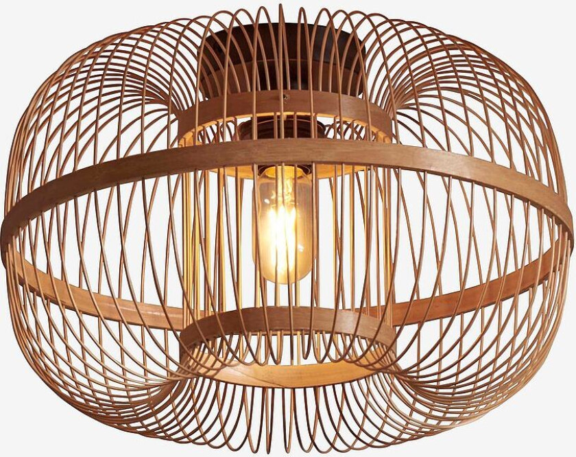 Taklampe Hokkaido, Natur