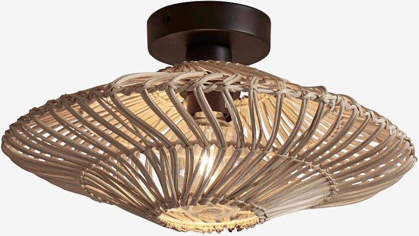 Takplafond liten Zanzibar, Hvit