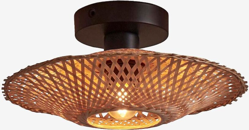 Taklampe XS Kalimantan, Natur