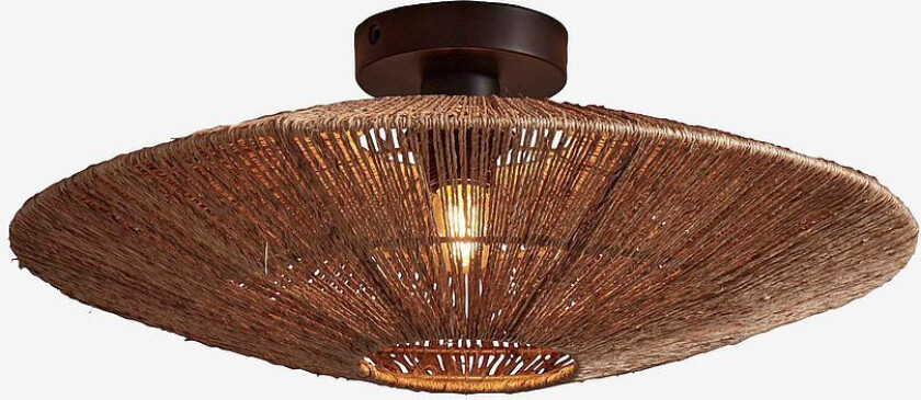 Takplafond stor Iguazu, Natur