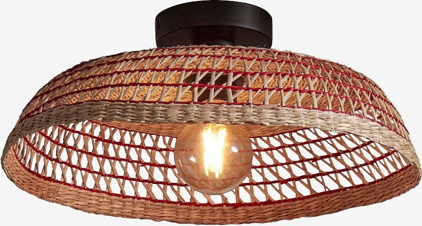 Taklampe Pantanal, Rød