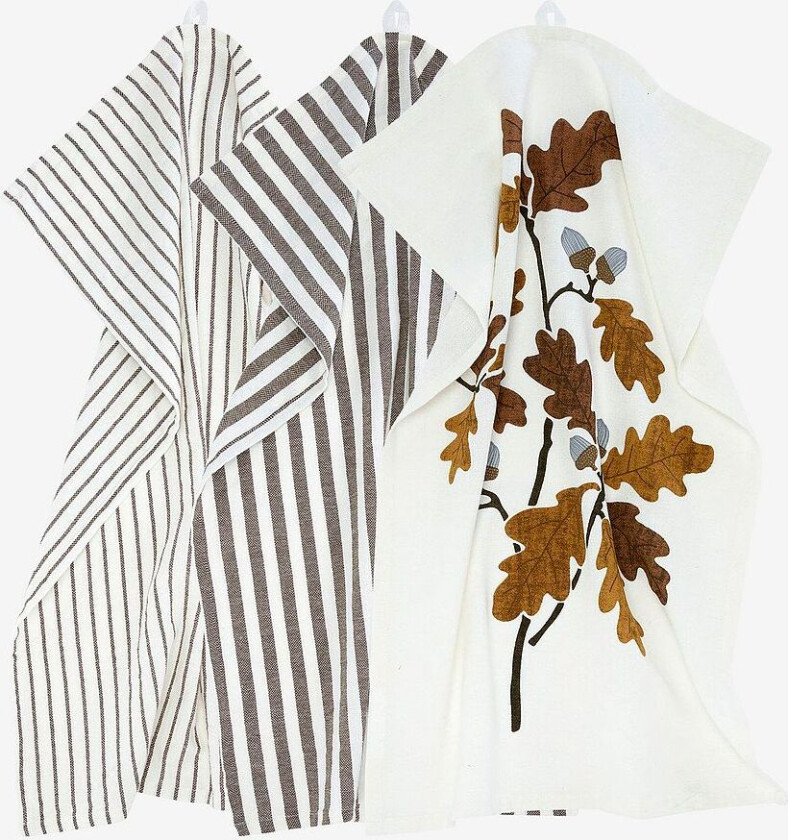 Kjøkkenhåndkle Gaby 3P, Brun