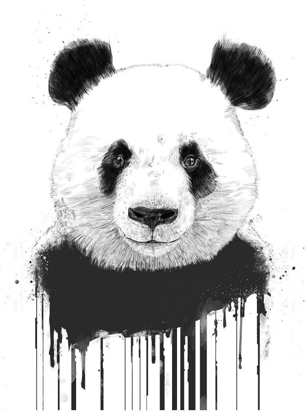 Poster Graffiti Panda, Hvit