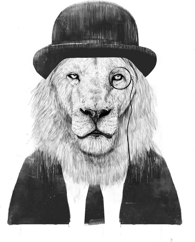 Poster Sir Lion, Hvit