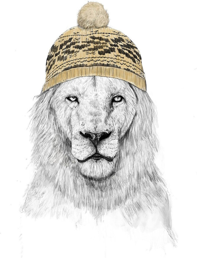 Poster Winter Lion, Hvit